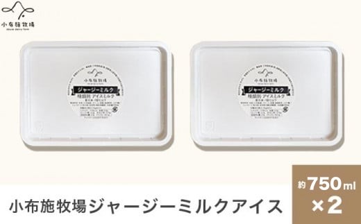 小布施牧場ジャージーミルクアイス 750ml × 2個 ［小布施牧場］アイスミルク アイス スイーツ デザート 菓子 お取り寄せ