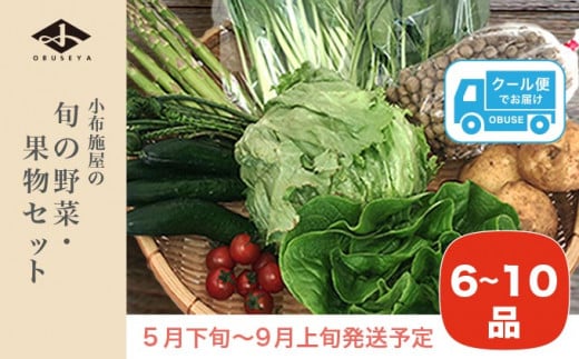 直売所から直送 旬の野菜・果物セット 6～10品 ［小布施屋］野菜 やさい 果物 フルーツ 詰め合わせ 詰合せ  令和8年産【2026年5月下旬～9月上旬発送】 ［H-79］