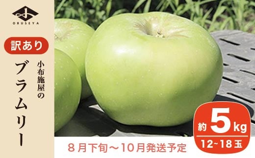 【訳あり】 クッキングアップル ブラムリー 約5kg 12～18玉 ［小布施屋］  林檎 リンゴ フルーツ 果物 傷 キズ 不揃い 規格外 家庭用 令和8年産  【2026年8月下旬～10月発送】  ［A-47］