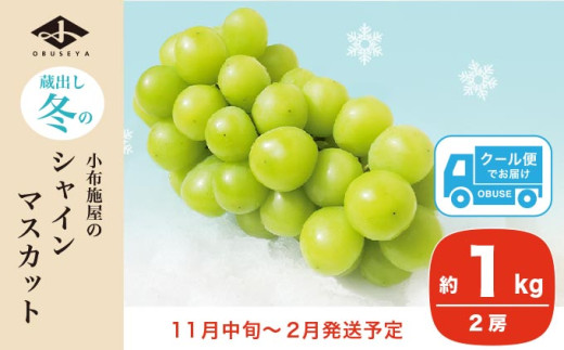 蔵出し冬のシャインマスカット 約1kg 2房 ［小布施屋 ］長野県 ぶどう フルーツ 果物 冷蔵便 クール便 令和7年産【2025年11月中旬～2026年2月発送】［A-502］ 約1kg / 15,000円