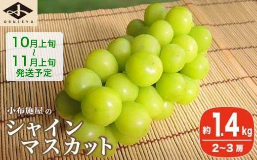 シャインマスカット 約1.4kg 2～3房 ［小布施屋］ フルーツ 果物 くだもの ぶどう 葡萄 ブドウ 数量限定 クール便配送 長野県産 産地直送 先行予約 送料無料 2026 2026年発送 令和8年産 【2026年10月上旬～11月上旬にかけて順次発送】 約1.4kg (2～3房)  / 15,000円