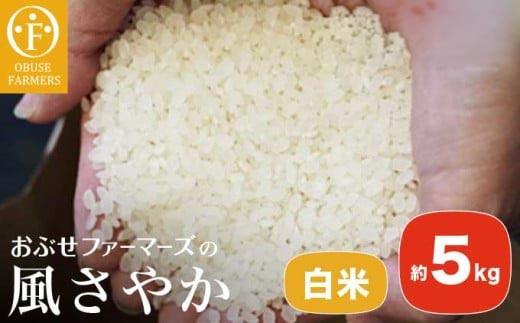 風さやか 白米  約5kg ［ おぶせファーマーズ ］ お米 コメ おこめ ご飯 精米 長野県産  ［FK-17］ 白米  約5kg / 14,000円