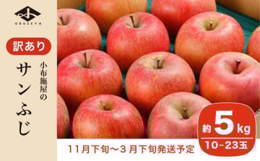 【訳あり】 サンふじ 約5kg 10～23玉 ［小布施屋］ りんご 林檎 リンゴ 不揃い 規格外 果物 フルーツ 生産者応援 支援 家庭用 長野県産 信州産 小布施町 令和7年産 【2025年11月下旬～2026年3月下旬発送】 ［A-12］