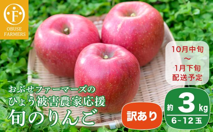 【訳あり】 りんご ひょう被害農家応援 約3kg 6～12玉［おぶせファーマーズ］ 不揃い 規格外 家庭用 りんご 林檎 リンゴ 果物 フルーツ ふじ 長野 信州 数量限定  【2025年10月中旬～2026年1月下旬発送】［F-553］