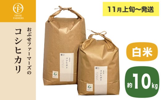 コシヒカリ 白米  約10kg ［ おぶせファーマーズ ］ お米 コメ おこめ ご飯 精米 長野県産 【2025年11月上旬～発送】 ［FK-12］ 白米 約10kg / 28,000円