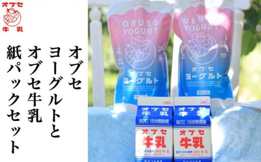 オブセヨーグルト (プレーン) 2個とオブセ牛乳 500ml 紙パック 2本 セット［オブセ牛乳］ 牛乳 ミルク 生乳 ヨーグルト 乳製品 食品  お取り寄せ グルメ 生乳100% 朝食 スイーツ おやつ 冷蔵 長野県小布施町産［G-43］