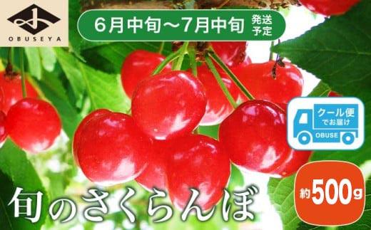 旬のさくらんぼ 約500g［小布施屋］ 佐藤錦、紅秀峰、紅佐藤、紅香、サミット など くだもの 果物 サクランボ バラ詰め 令和8年産 【2026年6月中旬～7月中旬発送】