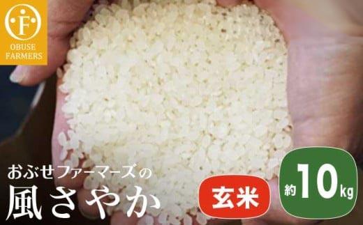 風さやか 玄米  約10kg ［ おぶせファーマーズ ］ お米 コメ おこめ ご飯 精米 長野県産 ［FK-20］ 玄米  約10kg / 28,000円