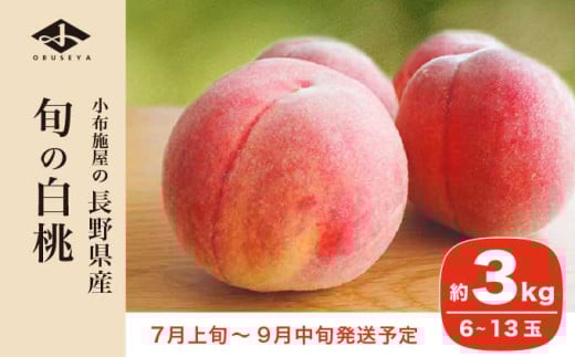 旬の白桃 約3kg 6～13玉 ［小布施屋］ 白桃 桃 もも モモ フルーツ 果物 クール便 冷蔵便 長野県産 信州産 期間限定 数量限定  たまき なつき あかつき 川中島白鳳 川中島白桃など 先行予約 2026 令和8年産 【2026年7月上旬～9月中旬発送】 約3kg（6～13玉） / 14,000円