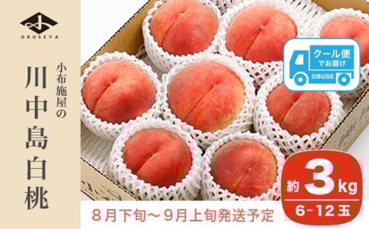 川中島白桃 約3kg 6～12玉 ［小布施屋］ 桃 白桃 もも モモ フルーツ 果物 令和8年産 【2026年8月下旬～9月上旬発送】［A-6］