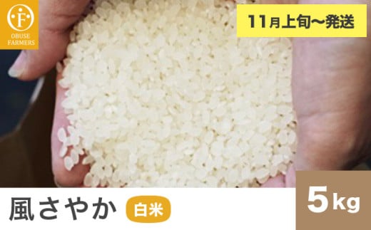 風さやか 白米  約5kg ［ おぶせファーマーズ ］ お米 コメ おこめ ご飯 精米 長野県産 【2025年11月上旬～発送】 ［FK-17］ 白米  約5kg / 14,000円