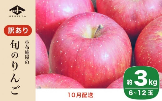 ［訳あり］ 旬のりんご 約3kg 6～12玉 ［小布施屋］ 傷 規格外 不揃い 訳アリ 家庭用 りんご 林檎 リンゴ 果物 フルーツ 長野県産 信州産 特産 産地直送 産直 数量限定 先行予約 令和8年度産 【2026年10月配送】［A-304a］ 2026年10月配送
