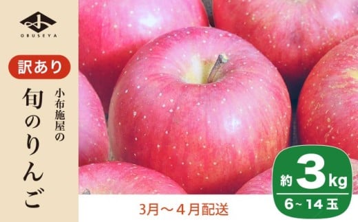 ［訳あり］ 選べる配送時期 旬のりんご 約3kg 6～14玉 ［小布施屋］ 傷 規格外 不揃い 訳アリ 家庭用 りんご 林檎 リンゴ 果物 フルーツ 長野県産 信州産 特産 産地直送 産直 数量限定 先行予約 3月発送 4月発送 令和7年産 【2026年3月～2026年4月配送】［A-304e］ 2026年3月～4月配送