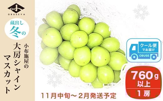 厳選プレミアム 大房 蔵出し冬のシャインマスカット 1房 760g以上［小布施屋］フルーツ 果物 長野県 ぶどう  冷蔵便 クール便 令和7年産  【2025年11月中旬～2026年2月発送】［A-505］ 厳選プレミアム1房 / 15,000円