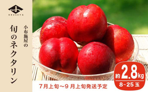 旬のネクタリン 約2.8kg 8～25玉 ［小布施屋］ 果物 フルーツ 桃 もも 長野県産 小布施 冷蔵便 クール便 産地直送 数量限定 送料無料 令和8年産 【2026年7月上旬～9月上旬発送】 約2.8kg（8～25玉） / 15,000円