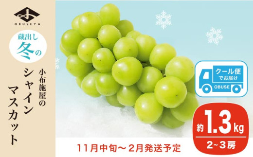 蔵出し冬のシャインマスカット 約1.3kg 2～3房 ［小布施屋 ］長野県 ぶどう フルーツ 果物 冷蔵便 クール便 令和7年産【2025年11月中旬～2026年2月発送】［B-503］ 約1.3kg / 19,000円