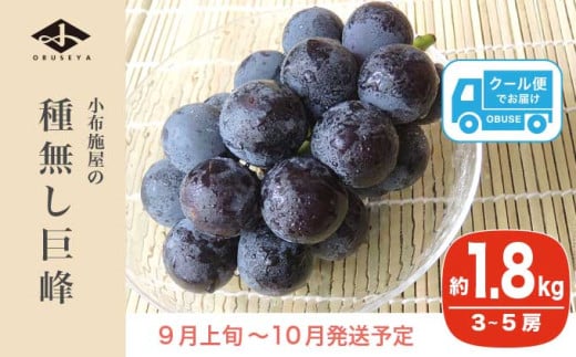 長野県産 種無し巨峰 約1.8kg 3～5房 ［小布施屋］ 果物 フルーツ ぶどう 葡萄  種無し 種なし 令和8年産【2026年9月上旬～10月発送】 約1.8kg / 16,000円