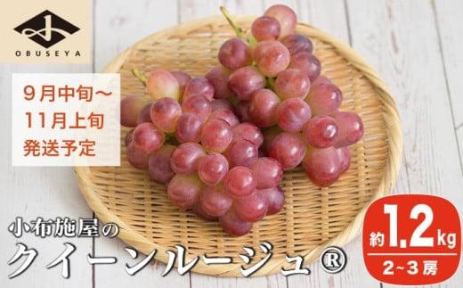 皮ごと食べられる手軽さと甘さが人気の3種を旬の時期にお届けします。