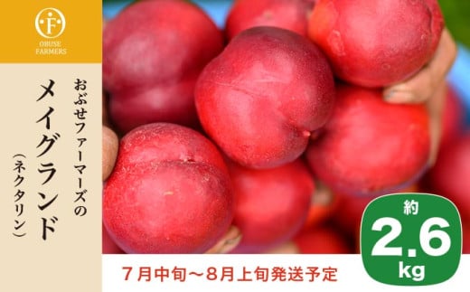 メイグランド 約2.6kg ［おぶせファーマーズ］ 果物 フルーツ ネクタリン 長野県産 信州産 令和8年産 【2026年7月中旬～8月上旬発送】