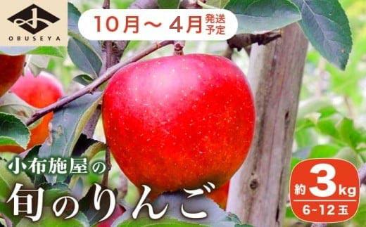 長野県産 季節の旬のりんご 約3kg 6～12玉［小布施屋］ りんご 林檎 リンゴ  果物 フルーツ 令和7年産 【2025年10月～2026年4月発送】 ［H-72］