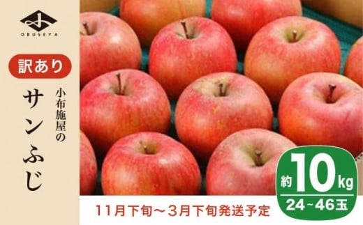 【訳あり】 サンふじ 約10kg 24～46玉 ［小布施屋］ りんご 林檎 リンゴ 不揃い 規格外 果物 フルーツ 生産者応援 支援 家庭用 令和7年産 【2025年11月下旬～2026年3月下旬発送】 ［B-6］