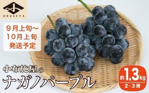 巨峰のように黒く大粒で、皮ごと食べられる希少なナガノパープル。