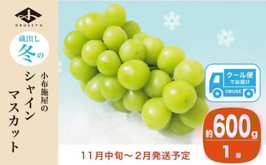 蔵出し冬のシャインマスカット 約600g 1房 ［小布施屋 ］長野県 ぶどう フルーツ 果物 冷蔵便 クール便 令和7年産【2025年11月中旬～2026年2月発送】［A-706］ 約600g / 10,000円