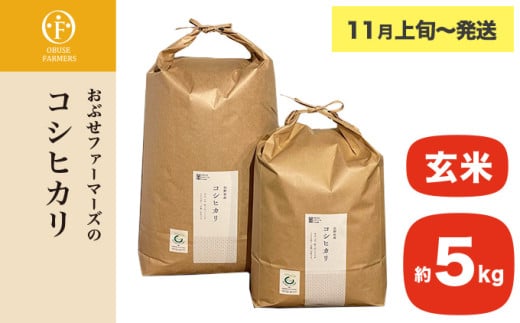 コシヒカリ 玄米  約5kg ［ おぶせファーマーズ ］ お米 コメ おこめ ご飯 精米 長野県産 【2025年11月上旬～発送】 ［FK-13］ 玄米 約5kg / 14,000円