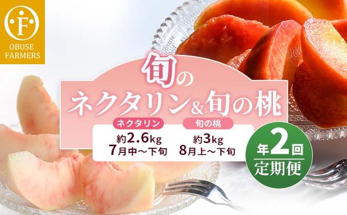 [2回定期便] 旬のネクタリン＆旬の桃 約2.6～3kg 食べ比べ 年2回定期便 ［おぶせファーマーズ］ネクタリン 白桃 旬の桃　ルーツ 果物 冷蔵便 クール便 長野県産 信州産 小布施 令和8年産【2026年7月中旬～8月下旬発送】