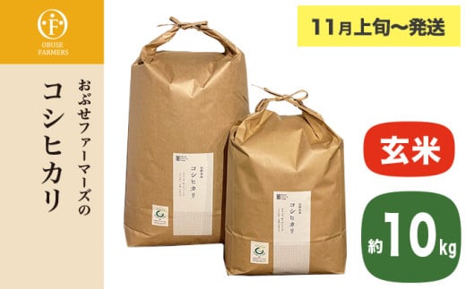 コシヒカリ 玄米  約10kg ［ おぶせファーマーズ ］ お米 コメ おこめ ご飯 精米 長野県産 【2025年11月上旬～発送】 ［FK-14］ 玄米 約10kg / 28,000円