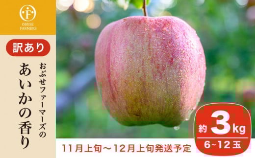 【訳あり】あいかの香り 約3kg 6～12玉 ［おぶせファーマーズ］ フルーツ 果物 林檎 リンゴ 長野県産 信州産 加工 傷 キズ 不揃い 規格外 家庭用  令和7年産 【2025年11月上旬～12月上旬発送】  ［FH-57］