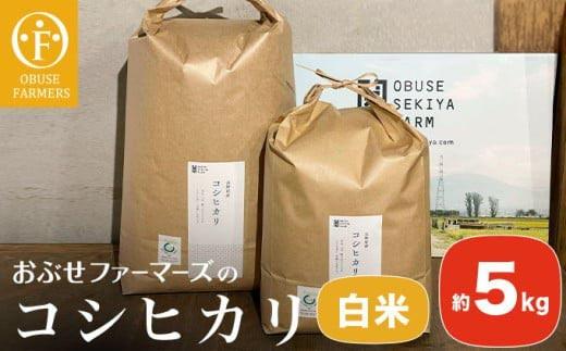コシヒカリ 白米  約5kg ［ おぶせファーマーズ ］ お米 コメ おこめ ご飯 精米 長野県産 ［FK-11］ 白米 約5kg / 14,000円
