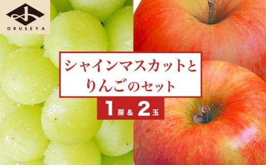 シャインマスカット1房とりんご2玉 約1.3kg　詰め合わせ ［小布施屋］果物 詰合せ セット フルーツ ぶどう 林檎 シャインマスカット 数量限定 期間限定 先行予約 冷蔵便 クール便 長野県産 信州産 送料無料 令和8年産 【2026年9月下旬頃～11月上旬頃まで順次発送】 ［A-307］
