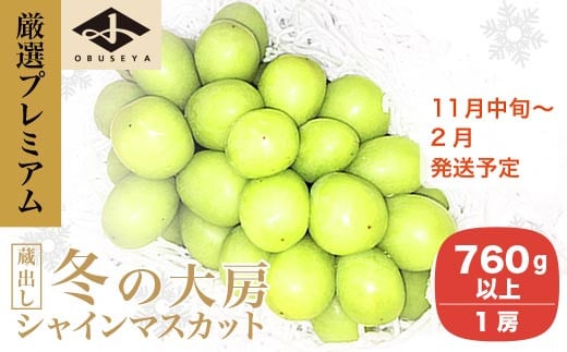 厳選プレミアム 大房 蔵出し冬のシャインマスカット 1房 760g以上［小布施屋］フルーツ 果物 長野県 ぶどう  冷蔵便 クール便 令和7年産  【2025年11月中旬～2026年2月発送】［A-505］