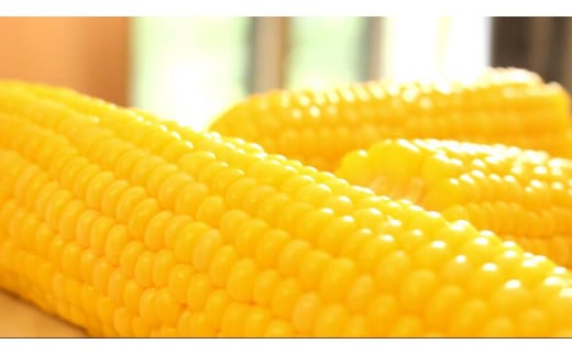  小林農園の信濃町産スイートコーン「サニーショコラ（8～