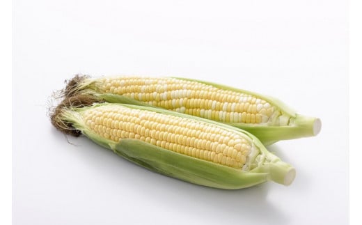 【季節限定！】採れたて最旬の『信濃町特産とうもろこし