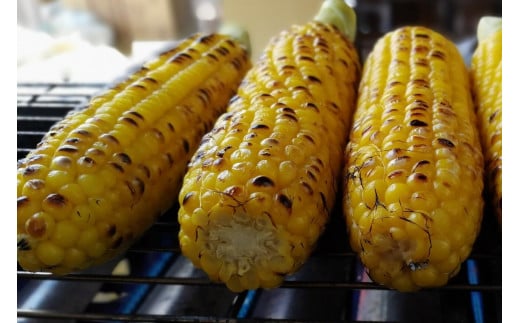【季節限定】採れたて最旬の『信濃町特産とうもろこし（8