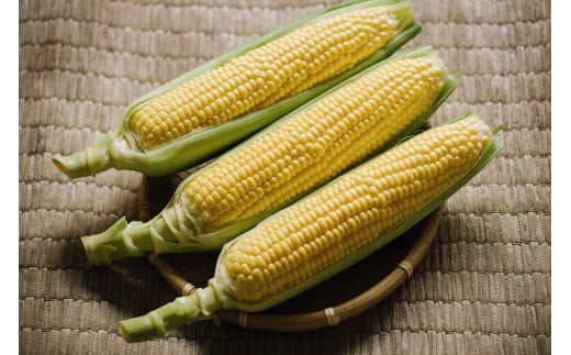 2026年夏のご予約受付開始！ 信濃町名産とうもろこし『ファ