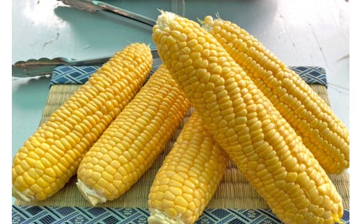 2026年夏の早期予約受付開始！TAKA農園『恵味（めぐみ）ゴー