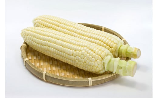 2026年夏の予約受付開始！小林農園の白くて甘いとうもろこ