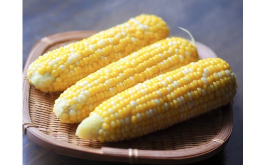 2026年夏の早期予約受付開始！きたむら農園『どきどきコー