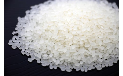 2025年収穫分、予約開始！ 仁の蔵の「ゆめしなの」10kg 冷害