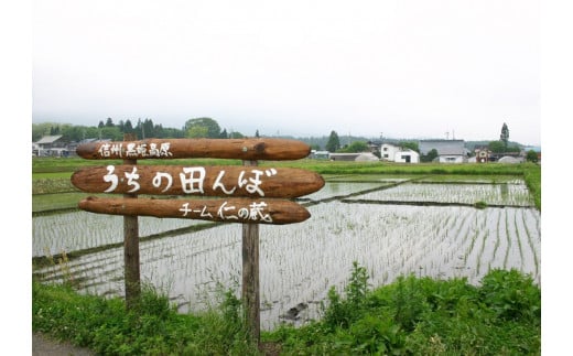 2025年収穫分、予約開始！ 仁の蔵の「信濃町産 こしひかり20