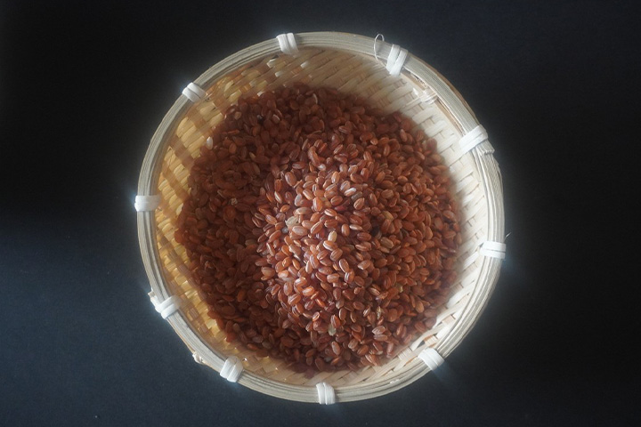 【ふるさと納税】残りわずか！オリザ農園 自然栽培の古代