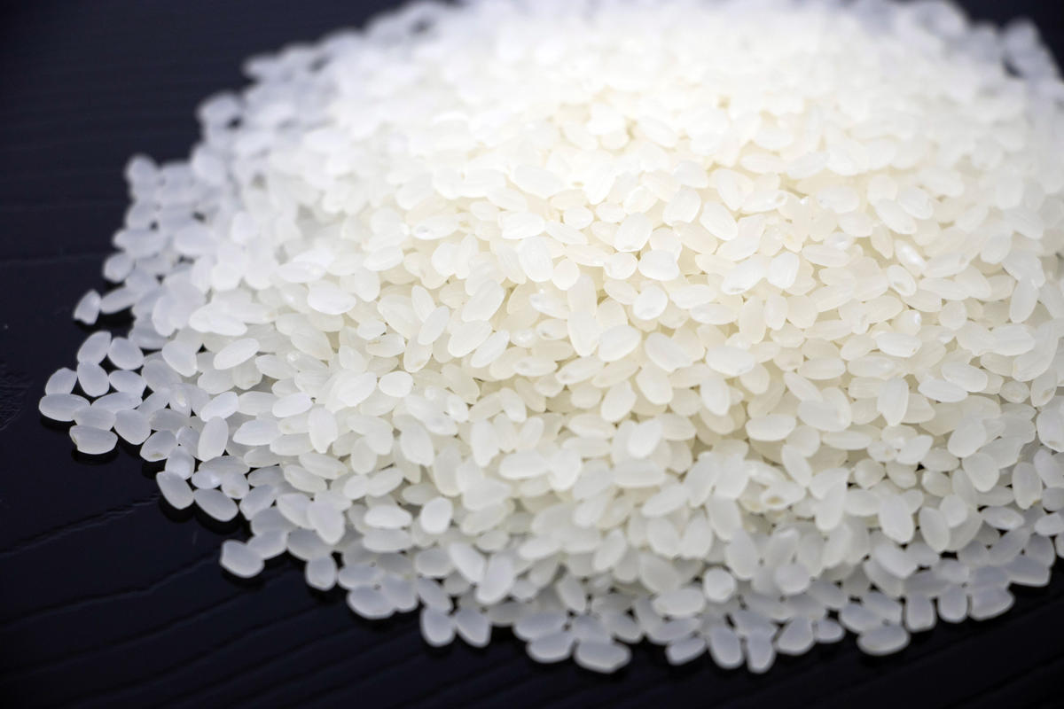 2025年収穫分、予約開始！ 仁の蔵の「ゆめしなの」20kg 冷害