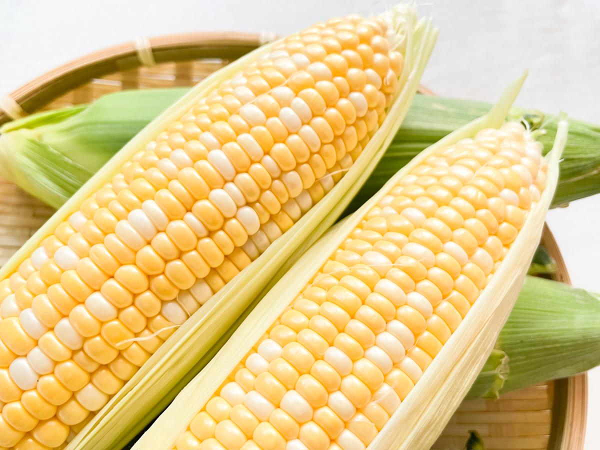 2026年夏の早期予約受付開始！ナツビ農園『どきどきコーン