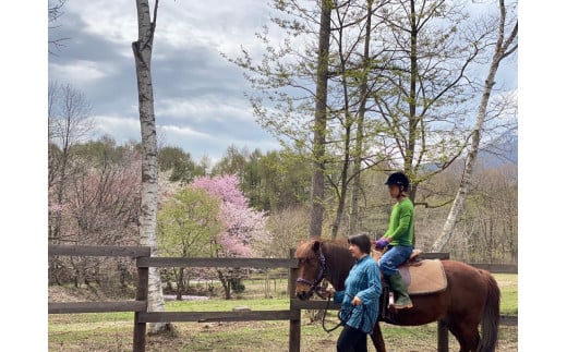 「アファンホースロッジ」利用券10,000円分／ベーシックプ