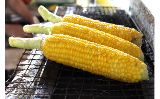 2026年夏の早期予約受付開始！TAKA農園『恵味（めぐみ）ゴー