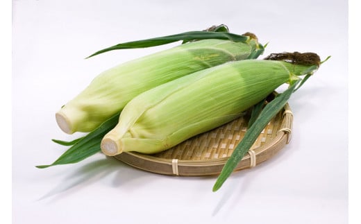 2026年夏の予約受付開始！小林農園の白くて甘いとうもろこ