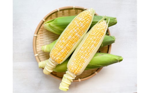 きたむら農園『どきどきコーン』×20本セット（約8～8.5kg相